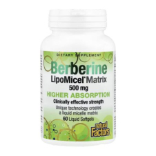 Natural Factors, Berberine LipoMicel Matrix, 60 Liquid Softgels in Pakistan