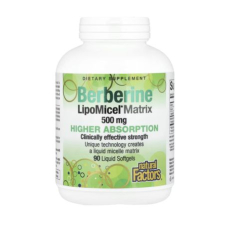 Natural Factors, Berberine LipoMicel Matrix, 90 Liquid Softgels in Pakistan