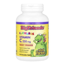 Natural Factors, Big Friends, Chewable Vitamin C, Tangy Orange, 250 mg, 90 Chewable Tablets in Pakistan