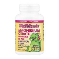 Natural Factors, Big Friends®, Magnesium Citrate, Bubble Gum, 50 mg, 60 Chewable Tablets in Pakistan