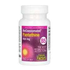 Natural Factors, BioCoenzymated, B5, Pantethine, 450 mg, 60 Softgels in Pakistan