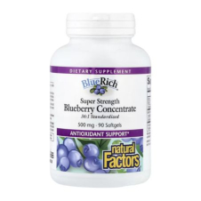 Natural Factors, BlueRich®, Super Strength Blueberry Concentrate, 500 mg, 90 Softgels in Pakistan