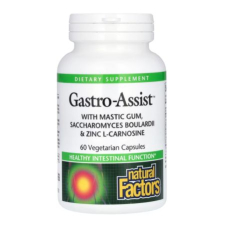 Natural Factors, Gastro-Assist™ with Mastic Gum, Saccharomyces Boulardii & Zinc L-Carnosine, 60 Capsules in Pakistan